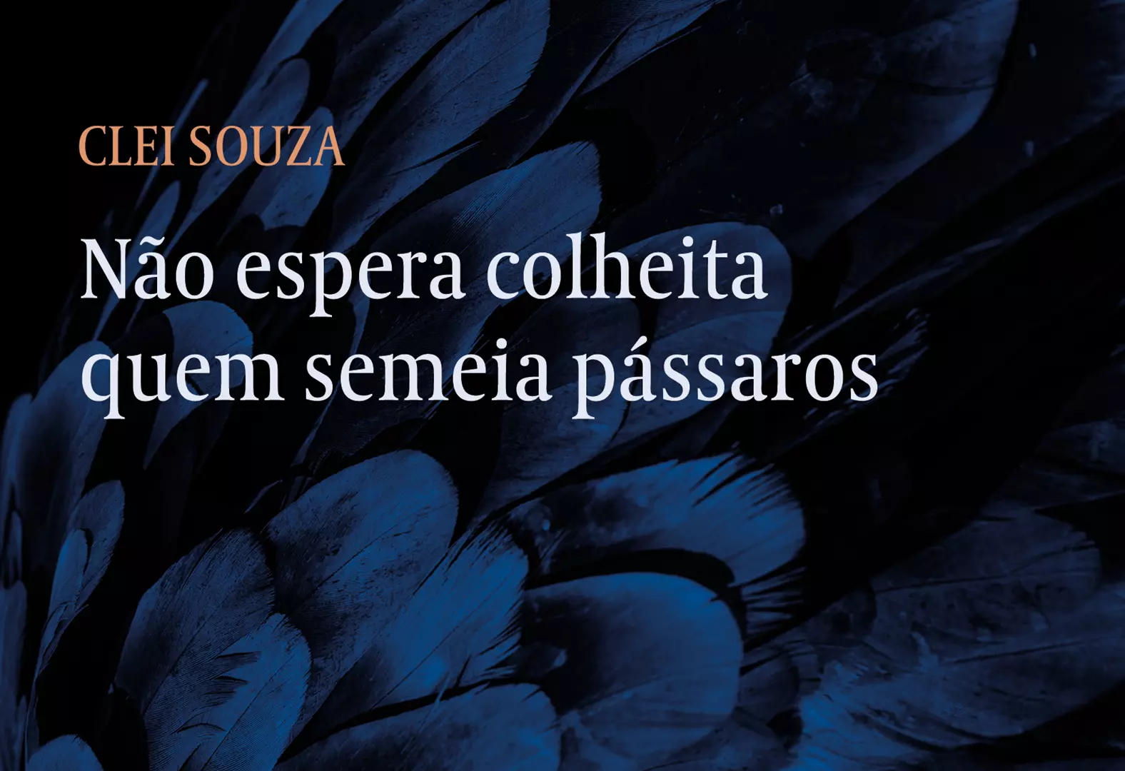 Leia dois poemas de Clei Souza